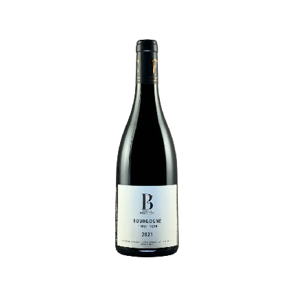 Domaine Boigey Freres Bourgogne Pinot Noir 2021