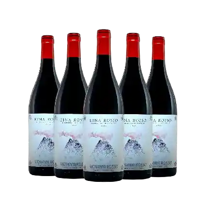 Giovanni Rosso Etna Rosso 2018 5支套裝